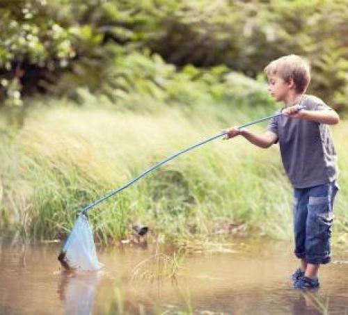 Boy standing in shallow water with a net 