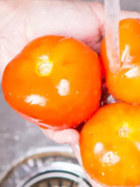 Washing tomatoes under a faucet